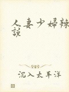 人妻少妇辣文小说