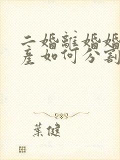 二婚离婚婚前财产如何分割新婚姻法