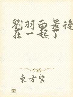 刘羽白最后和谁在一起了