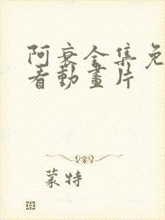 阿衰全集免费观看动画片