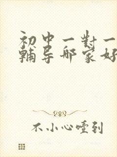 初中一对一数学辅导哪家好