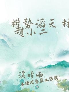 权势滔天 林峰 赵小二