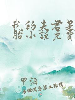 我的夫君是双胞胎小说免费阅读