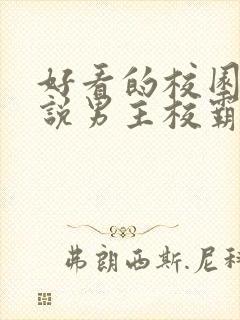 好看的校园文小说男主校霸