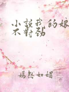 小说我的娘子,不对劲