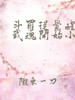 斗罗从觉醒朱雀武魂开始小说