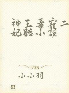神王毒宠二嫁王妃听小说