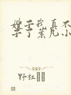 嫂子我真不是傻子了叶凡小说精校