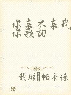 你来不来我都等你歌词