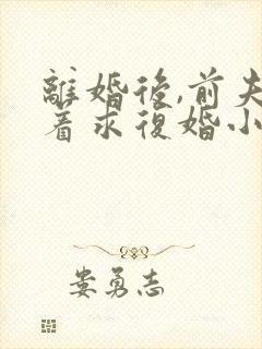 离婚后,前夫哭着求复婚小说正版