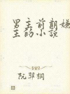 男主前期嫌弃女主的小说