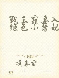战王宠妻入骨:绝色小医妃