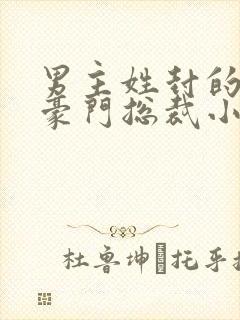 男主姓封的所有豪门总裁小说