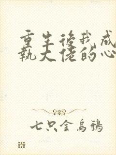 重生后我成了偏执大佬的心尖宠