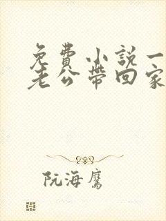 免费小说一国民老公带回家