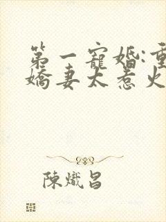 第一宠婚:重生娇妻太惹火