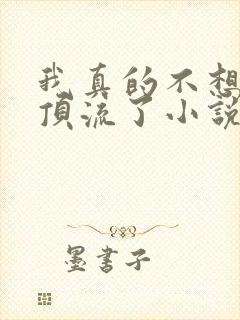 我真的不想再当顶流了小说