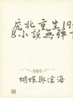 庞北重生1958小说无弹窗