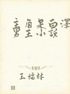 主角是白泽的双男主小说