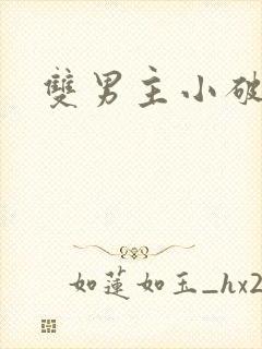 双男主小破文