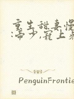 重生甜妻慢点撩:帝少,宠上瘾