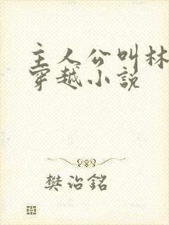 主人公叫林云的穿越小说