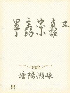 男主忠贞又出轨了的小说