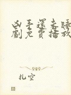 凶手还未睡电视剧免费播放在线观看