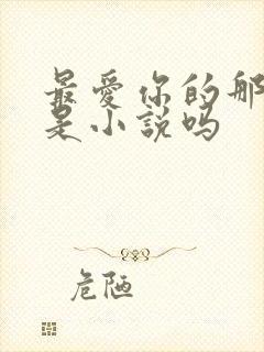 最爱你的那十年是小说吗