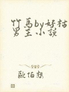 竹马by好枯双男主小说