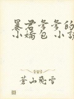 暴君爹爹的团宠小娇包 小说