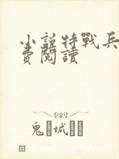 小说特战兵王免费阅读