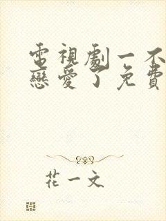 电视剧一不小心恋爱了免费观看完整版