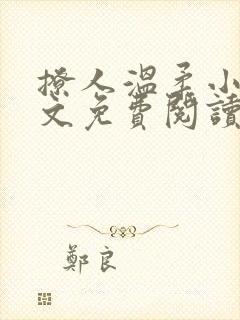 撩人温柔小说全文免费阅读无弹窗