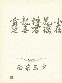 偷龙转凤小说叶楚姜君瑶在线阅读