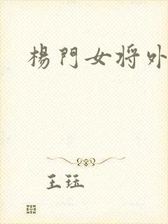 杨门女将外传