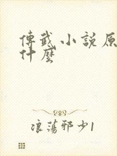 传武小说原著叫什么