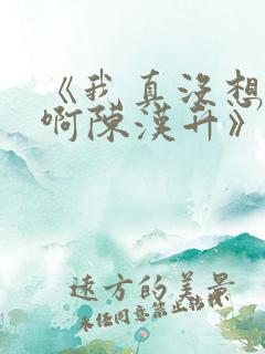 《我真没想重生啊陈汉升》