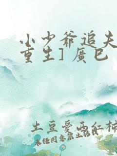 小少爷追夫记[重生] 广巳