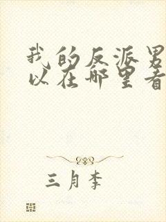 我的反派男友可以在哪里看