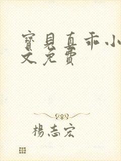 宝贝真乖小说全文免费