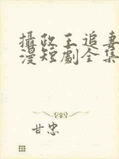 摄政王追妻路漫漫短剧全集免费观看