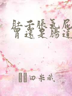 肚子胀气屁多是胃还是肠道问题