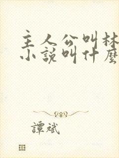 主人公叫林烨的小说叫什么名字