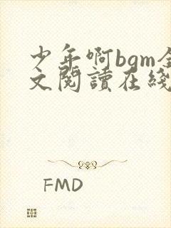 少年啊bgm全文阅读在线下载免费