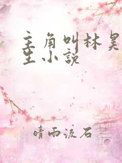 主角叫林昊的重生小说