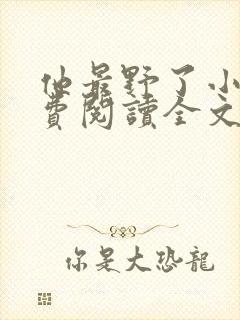 他最野了小说免费阅读全文