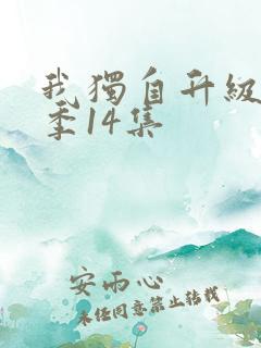 我独自升级第二季14集