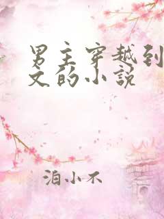 男主穿越到年代文的小说