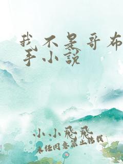 我不是哥布林杀手小说